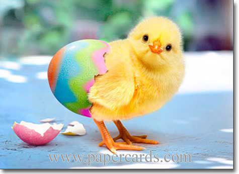 Páskafrí 15.-22. apríl