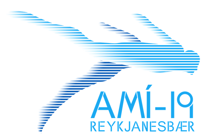 AMÍ 2019 - Reykjanesbæ