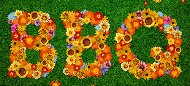 AMÍ grill og góðir gestir