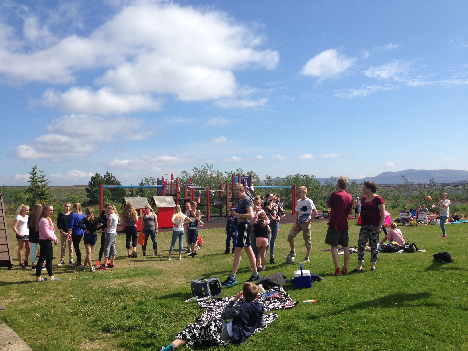 Grillveisla í sumarblíðu