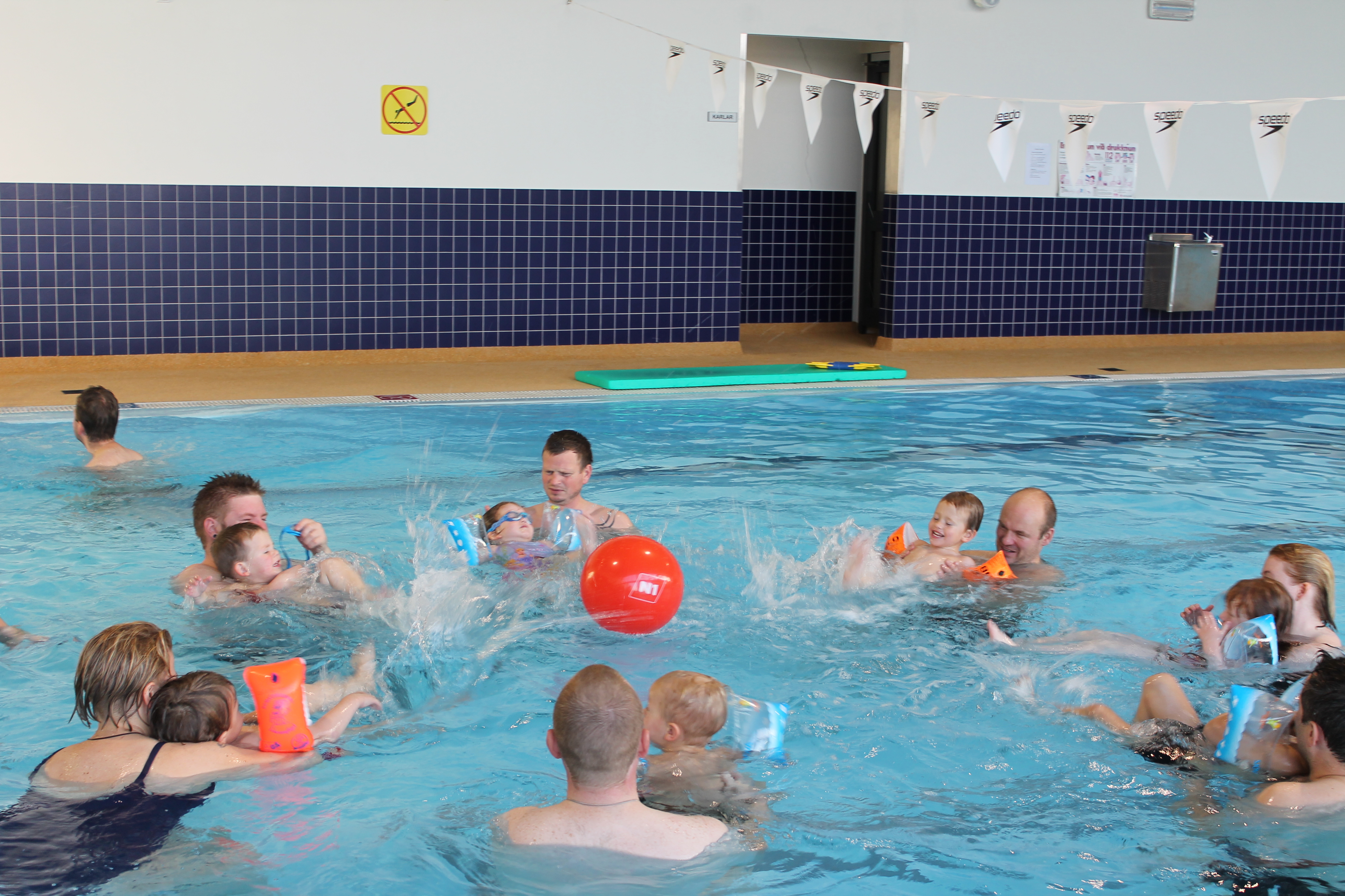 Gullfiskar, sund fyrir 2 ára og eldri