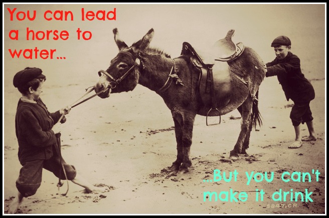 ÍM50 eftir tvær vikur